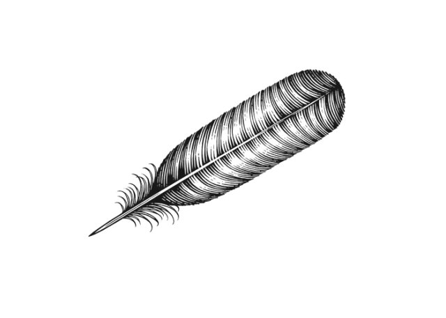 turkey feather art